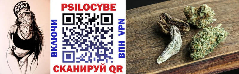 Купить Дедовск Галлюциногенные грибы Psilocybe